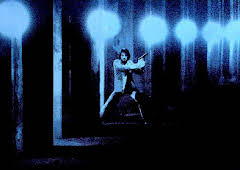 Halcones de la noche