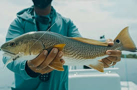 The Captain's Log With Capt. Jonathan Moss, Season 2: Space Coast Slam