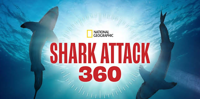 Shark Attack 360