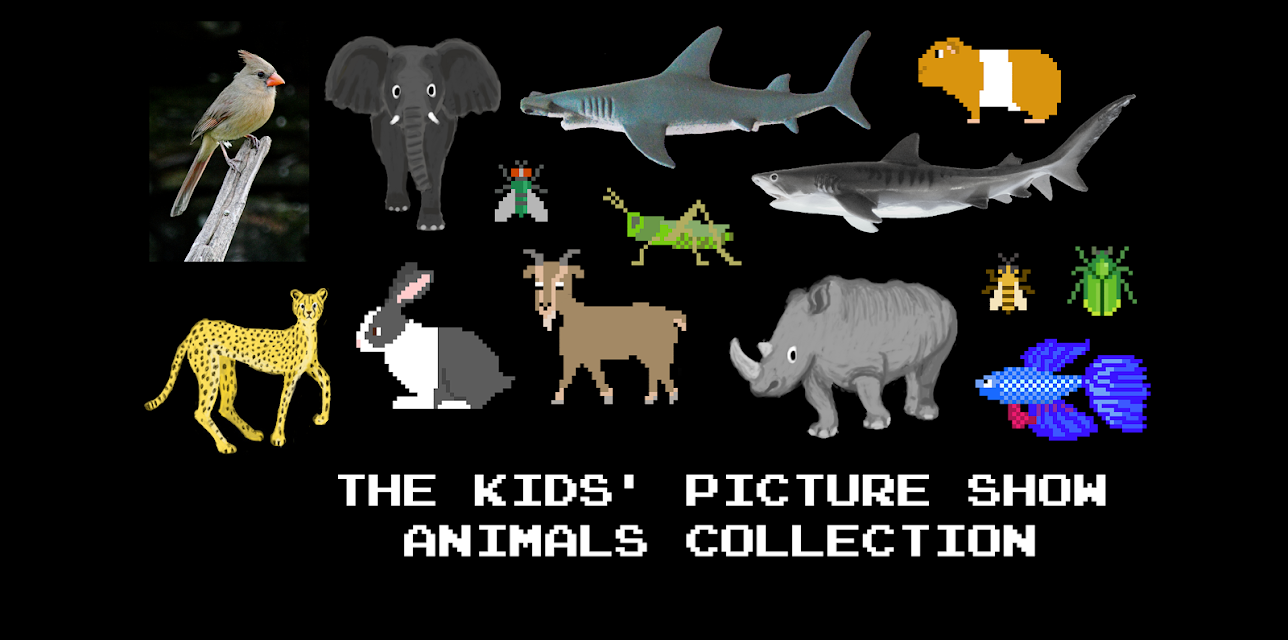The Kids' Picture Show - Animals Collection