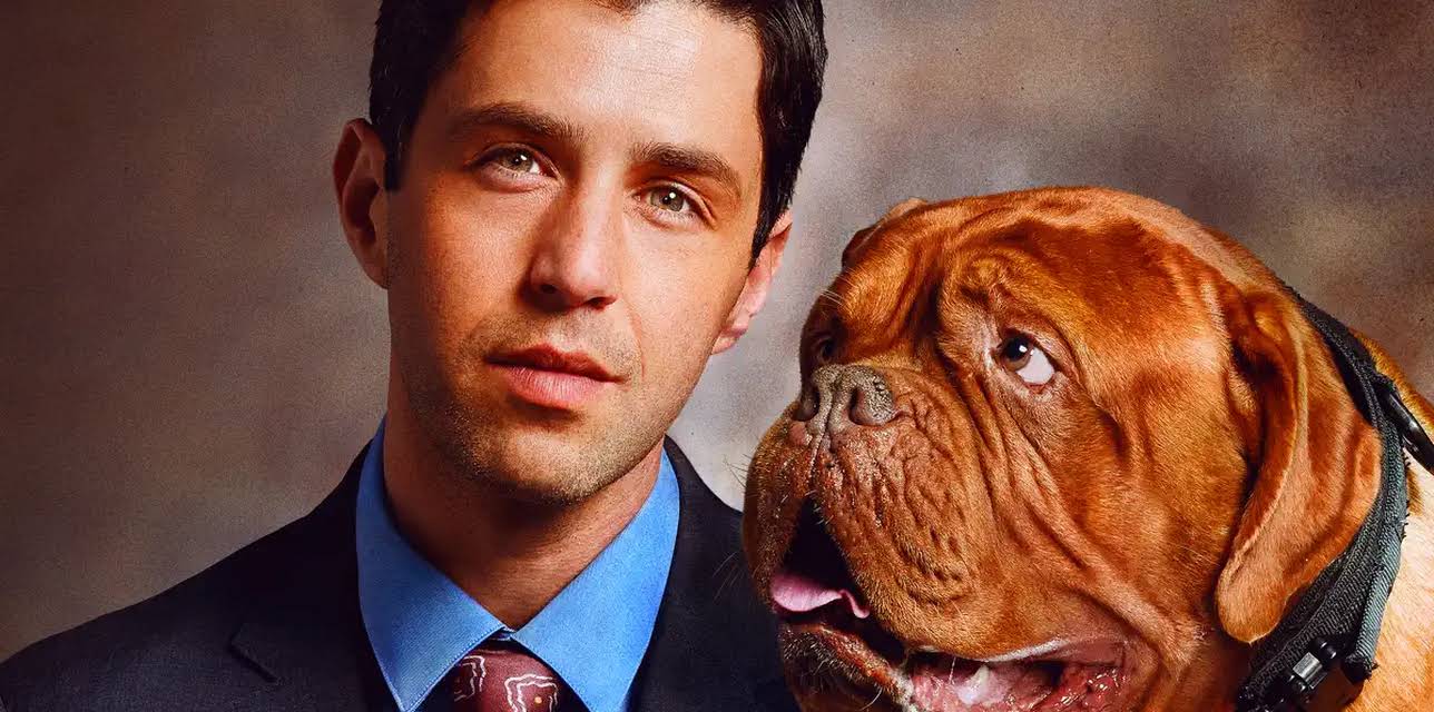 Turner & Hooch