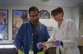 This Giant Beast That Is The Global Economy: Counterfeiting Kills Economies ( And Helps Them Too)