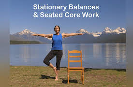 Balance & Strength Exercises for Seniors: 9 Practices with Jane Adams: Stationary Balances & Seated Core Work