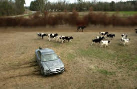 Under the Dome: Episode 1