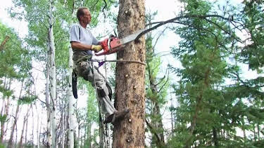 18:00: Ax Men (S8 E18) (S8) | TV10 | 4/18 2026