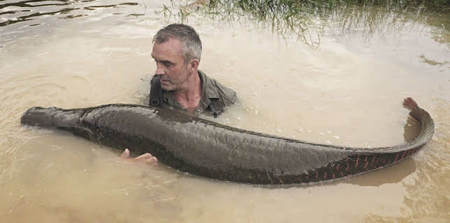 21:05: Giganten unter Wasser - Riesenfischen auf der Spur | Kabel Eins Doku | 12/5 2025