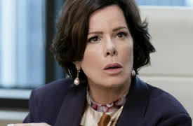 So Help Me Todd Season 1: More Fang for Your Chuck