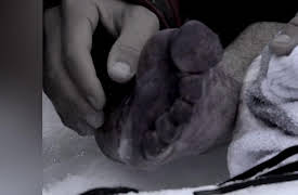 Escaped Season 1: Backcountry Blizzard