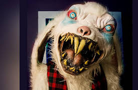 Creepy AF: Haunt Review: Rotten Easter Egg Hunt