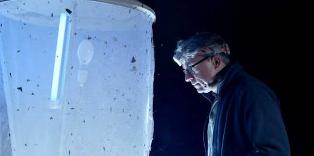 05:30: Landwirtschaft und Artenvielfalt | SWR Fernsehen RP | 2/4 2026