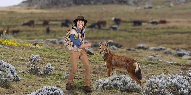 2:25 PM: Andy's Safari Adventures (S1) | Cbeebies | 11/14 2025