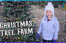 Job Jams: Christmas Tree Farm