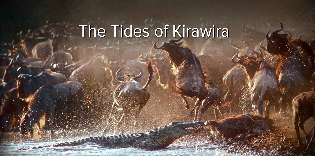 The Tides of Kirawira (2019)
