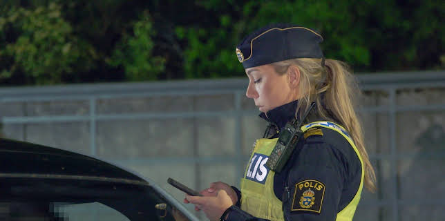20:00: Gränsbevakarna Sverige (S7 E8) (S7) | Kanal 5 | 2/4 2026