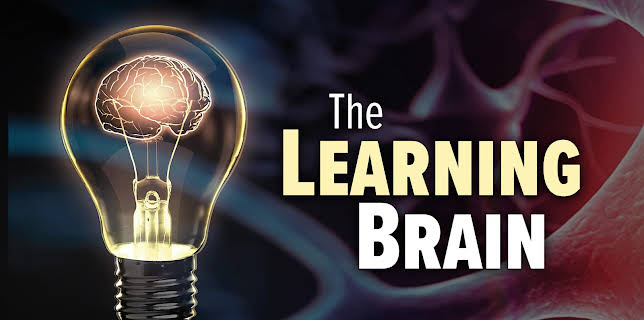 The Learning Brain