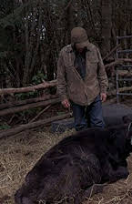 Charlotte Kilcher som 