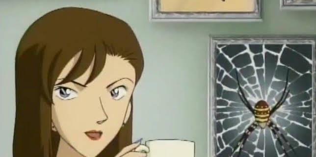 18:25: Detektiv Conan | ProSieben Maxx | 12/15 2025