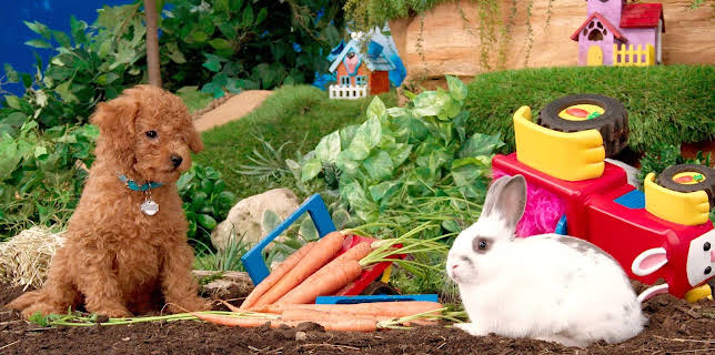 17:20: Rosin og Bolle: Mye å huske på | NRK Super | 1/2 2026