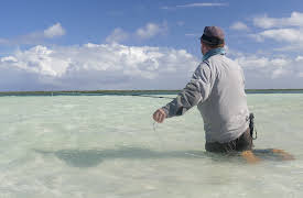 Fish or Die: Episode 9