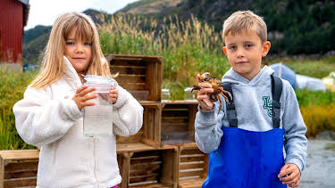 18:05: Skattejakt i fjæra: Fjærebingo | NRK Tegnspraak | 4/7 2026