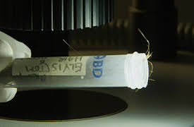 Dead Famous DNA: Episode 2