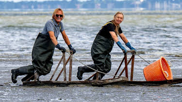 21:00: Lecker an Bord | WDR Fernsehen | 8/24 2026