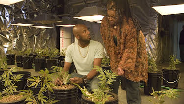 18:00: Weeds (S3 E5) (S3) | Viasat Series | 10/26 2026