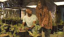 Weeds (S3 E5)