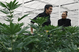 The Whole Story With Anderson Cooper, Season 1: Weed 7: A Senior Moment