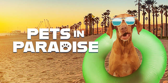 Pets in Paradise