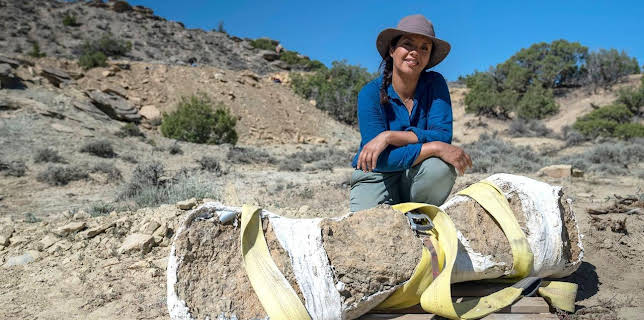 20:15: Geheimnisse der Jurassic-Saurier | ARD Alpha | 12/29 2025