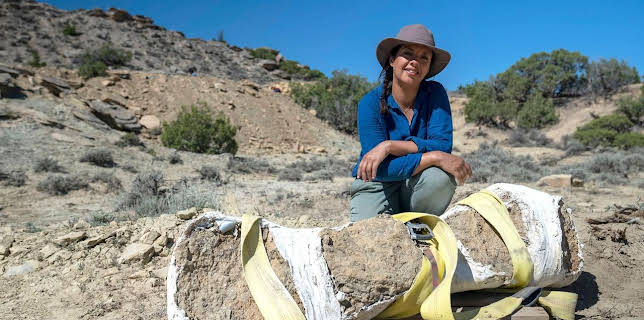 Geheimnisse der Jurassic-Saurier