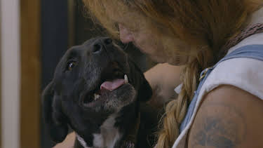 15:00: Pit Bulls & Parolees (S9 E9) (S9) | Animal Planet | 3/28 2026