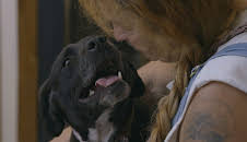 Pit Bulls & Parolees (S9 E9)