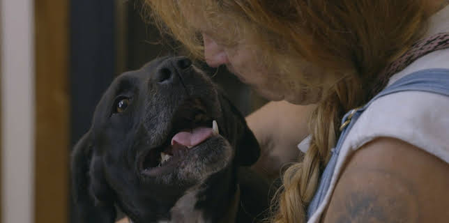 07:40: Pit Bulls & Parolees (S9 E9) (S9) | Animal Planet | 11/15 2025