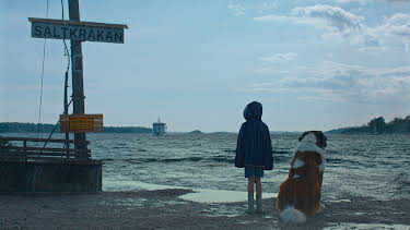 08:20: Unsere Ferien auf Saltkrokan | ZDF | 4/3 2026