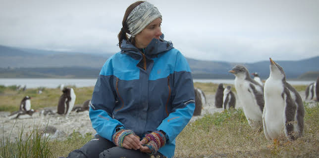 13:00: Patagonia: Life on the Edge of the World (S1 E5) (S1) | TV10 | 3/1 2026