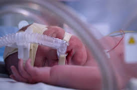 Tiny Lives: Alfie + Harrison/Amelia