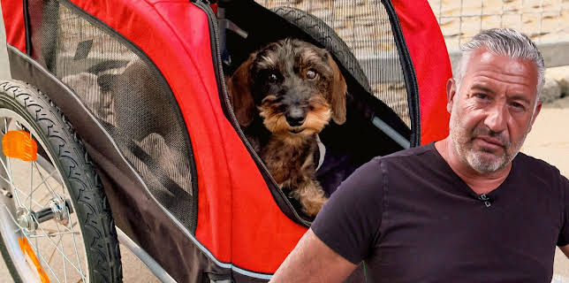 11:10: Hunde verstehen! | WDR Fernsehen | 2/20 2026