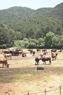 22:30: Granjas en acción: Episodio 7 | Discovery Max | 12/21 2025