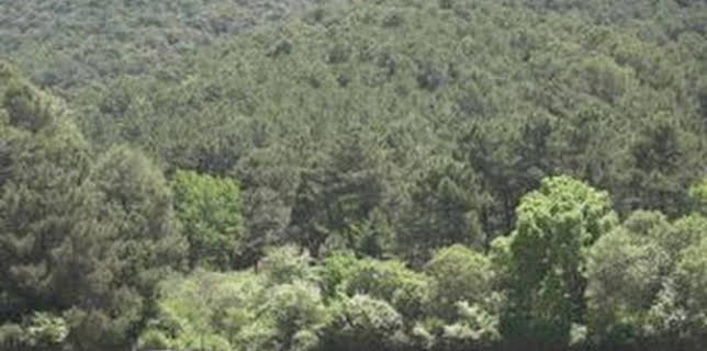 21:30: Granjas en acción: Episodio 5 | Discovery Max | 12/7 2025