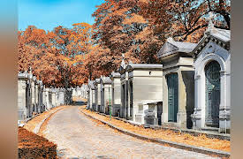 The Great Tours: France through the Ages: Bohemian Paris: Artists and Expats