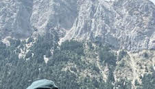 Seprona en acción: Episodio 9