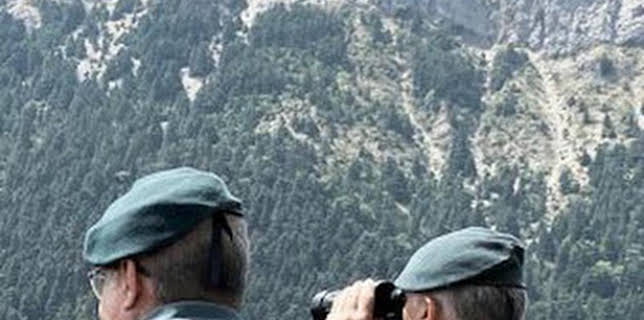 08:14: Seprona en acción: Episodio 9 | Discovery Max | 2/4 2026