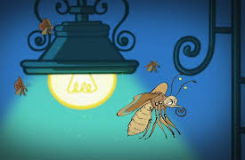 I'm a Creepy Crawly: Moth