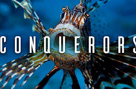 Conquerors: The Fire Ant