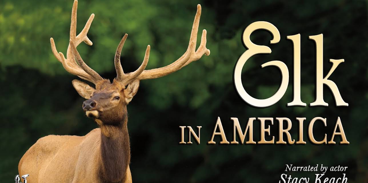 Elk in America (2012)