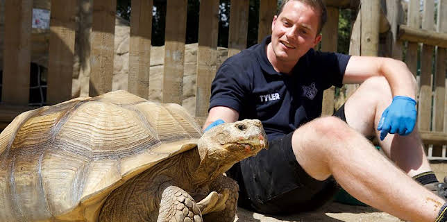 12:35 PM: One Zoo Three (S1) | CBBC | 11/21 2025