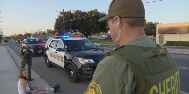 18:25: Cops | TV 2 Zebra | 11/11 2025