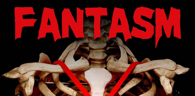 Fantasm (2013)